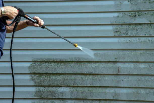 Best Deck Cleaning Services  in Eddystone, PA